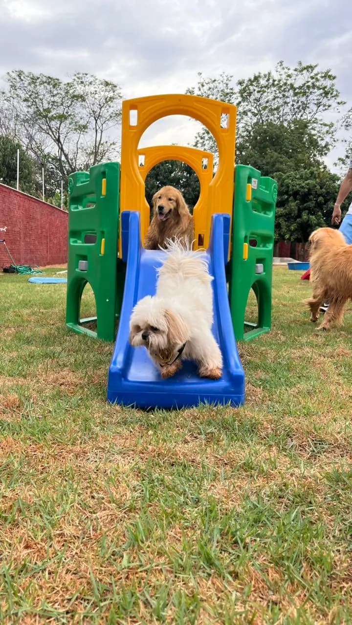 Estrutura de exercícios